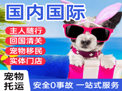 长乐空运公司国际宠物托运 【国